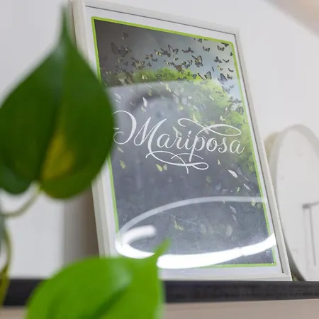 Mariposa * Budapeşte